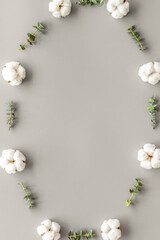 Flowers frame with fresh eucalyptus branches and cotton on grey background top view space for text