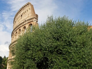 Rome Coliseum (Coliseo)