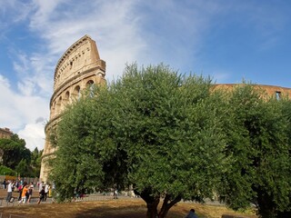 Rome Coliseum (Coliseo)