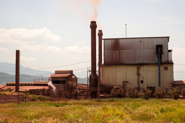 An old industrial coal-fired steam generation plant and its chimneys rising among wildflowers