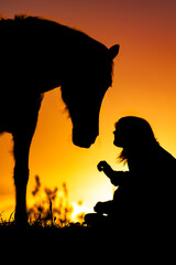 Silhouette of horse, sunset colours, black, yellow and orange.