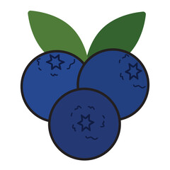Colored blueberry fruit icon Vector
