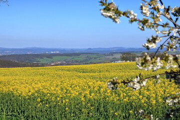 Panorama of rocks in the Saxon Switzerland Reserve in Germany