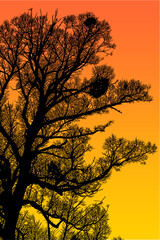 ramas, arboles, siluetas, vegetacion, roble, bosque, paisaje, vector, hojas, abstracto, sauce, tronco, malesa, pegatina