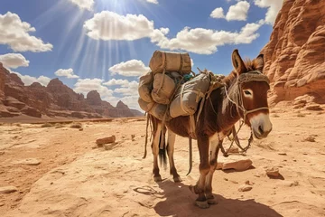 Deurstickers donkey in the desert © Rizwan
