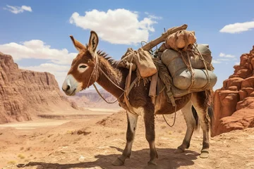 Fotobehang donkey in the desert © Rizwan