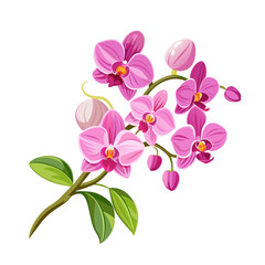 Fototapeta na wymiar flower exotic pink orchid branch