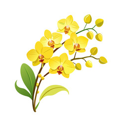 flower exotic yellow orchid branch
