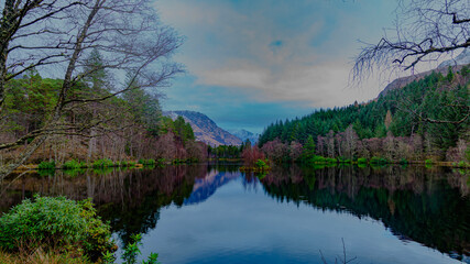 reflection of trees in water