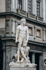 Fototapeta premium Florence, Italy - 29 December, 2023: Statues in the central square of Florence (Piazza della Signoria)