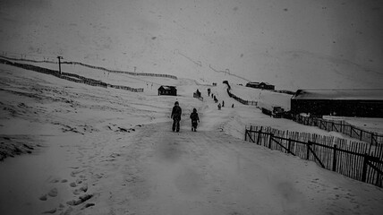 silhouettes of people walking on the snow