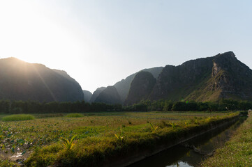 The views of the countryside of Ninh Binh in Vietnam at sunset with the backlight views of mountains and rice fields in the foreground.