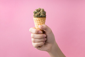 Dry buds of medical marijuana with CBD content in a waffle ice cream cone in a woman’s hand.  On a pink background.  Alternative medical cannabis treatment