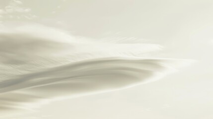 Fototapeta premium A white cloud on a white background