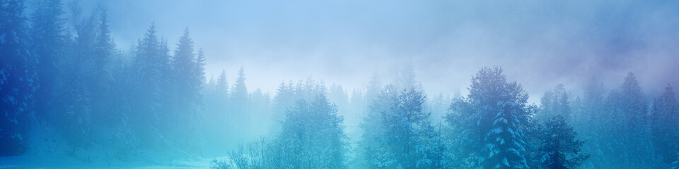 Snow-covered spruce trees on the mountainside during sunrise in winter. Winter rural landscape ...