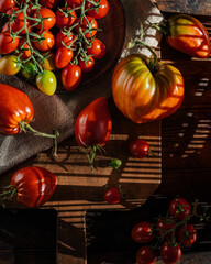 Tomatoes on a Wooden Plate with Playful Light and Lines