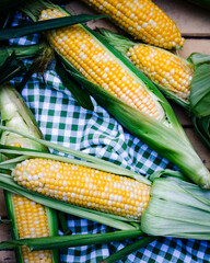 Fresh Corn in summer light on a green and White Picnic Blanket