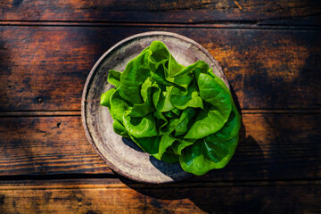 Vibrant Lettuce on a Round Plate.
