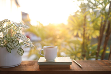 Coffee cup and notebook and Angel wings plant on wooden table under sunlight
