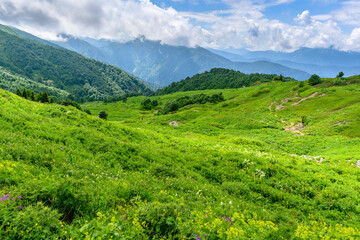 Fototapeta na wymiar Scenic panoramic view of idyllic rolling hills landscape with blooming meadows and snowcapped alpine mountain peaks. A beautiful sunny day with blue sky and clouds in springtime.