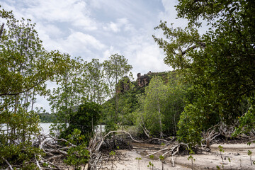 landscape with beautiful palm trees in a wild forest with huge stones on a sunny day on one of the...