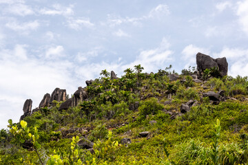 landscape with beautiful palm trees in a wild forest with huge stones on a sunny day on one of the...