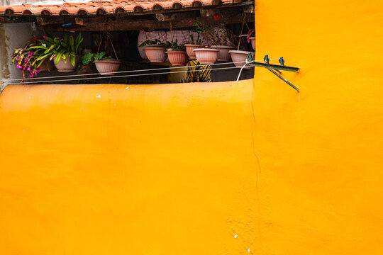 Yellow Flat Pluster Texture