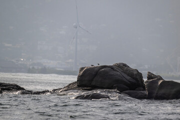 Fototapeta premium landscape with a beautiful coastline with huge stones on the beaches on a sunny day on one of the Seychelles islands