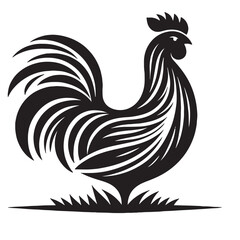 Charming Chicken Silhouette, Chicken Collection for Farm , Graceful Chicken Designs-black and white illustration