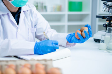 Scientist or nutritionist is holding eggs in her hand to test and check the quality of shell,...
