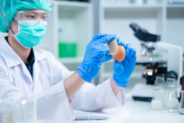 Scientist or nutritionist is holding eggs in and looking to test and check the quality of shell,...