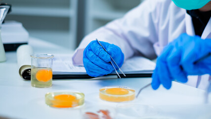 Professional Scientist or nutritionist do an experiment or research with egg yolk in laboratory,...