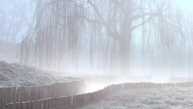 Fog, steam and sun on the water from natural pool with wooden bards