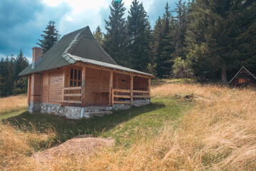 Fototapeta na wymiar Wooden cottage in middle of the forest, mountain Tara, Serbia