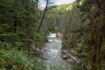 Summer time scenes in Banff National Park with Johnston Canyon in view. Nature, beautiful tourism view.