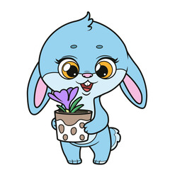 Cute bunny holds in paws a pot with spring crocus flower color variation