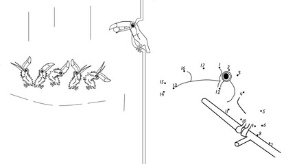 Toucan family in the jungle