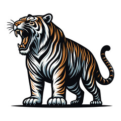 Fototapeta na wymiar Wild roaring tiger full body vector illustration, zoology illustration, animal predator big cat design template isolated on white background