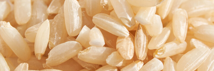 A background of dry brown rice grains showcases the integral, uncooked basmati texture. The macro...