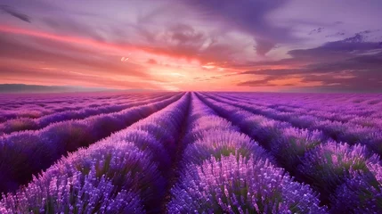 Zelfklevend Fotobehang Sunset Lavender Field with Romantic and Vibrant Hues © kiatipol