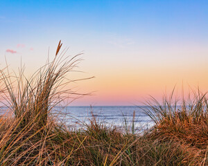 Naklejka premium Sand dune grasses looking through to calm sea at peach-toned sunset