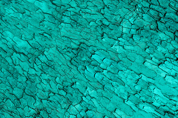 Turquoise textured tree bark background, design element.
