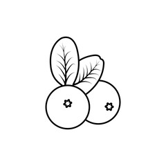 berries icon vector illustration eps