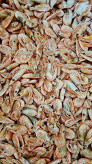 Frozen boiled shrimp in a supermarket or grocery store, close-up. Seafood