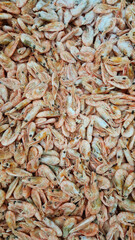 Frozen boiled shrimp in a supermarket or grocery store, close-up. Seafood