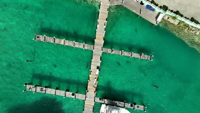 Aerial view: Shark pier in the Bahamas
