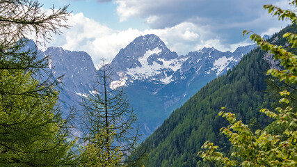 Landscape in the Slovenian summer