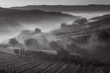 Italian misty morning landscape