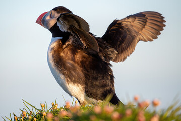 Beautiful Landscapes and Seascapes of Iceland