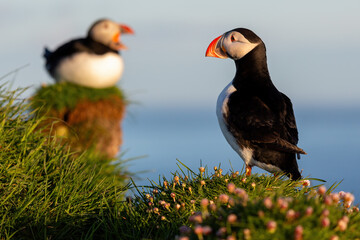 Beautiful Landscapes and Seascapes of Iceland